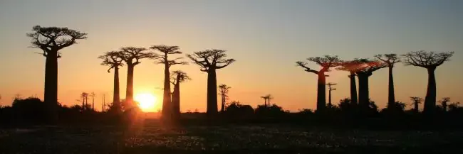 Madagascar visa on arrival cover image