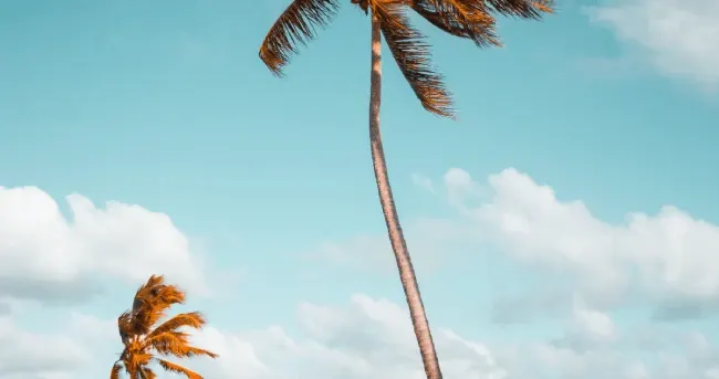 Requisitos para la visa de República Dominicana para Venezolanos cover image