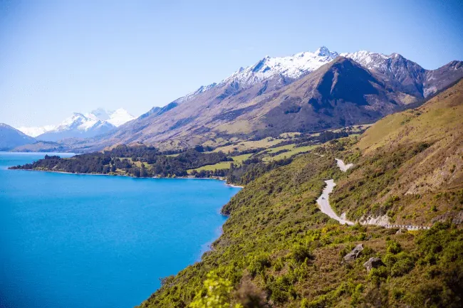 Do I Need a Vaccine to Travel to New Zealand? cover image