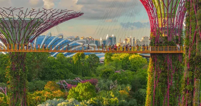 Do I need a visa for Singapore? cover image