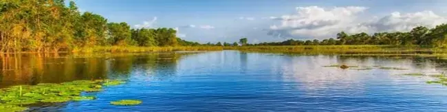 Visa para Surinam desde Cuba: Requisitos y Solicitud | iVisa cover image