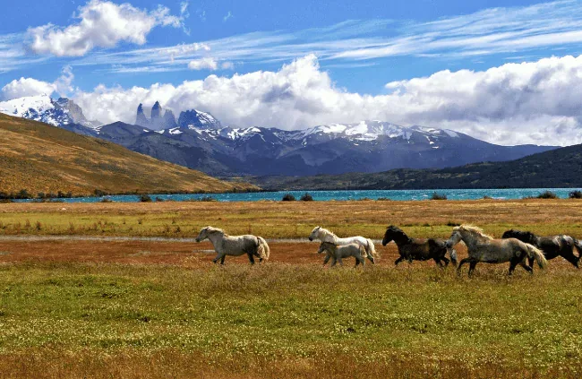 Requisitos para entrar a Chile: Documentos y Permisos cover image