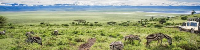 Obtenir son visa de volontariat pour la Tanzanie (pour ressortissants français) cover image