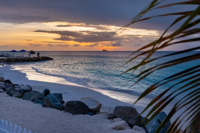 Requisitos de la visa electrónica de Antigua y Barbuda para dominicanos cover image