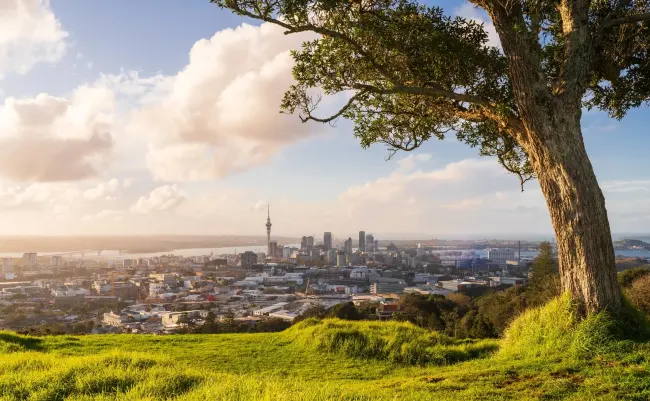 New Zealand Visitor Visa for Togoleses Citizens: Complete Guide for 2023 cover image