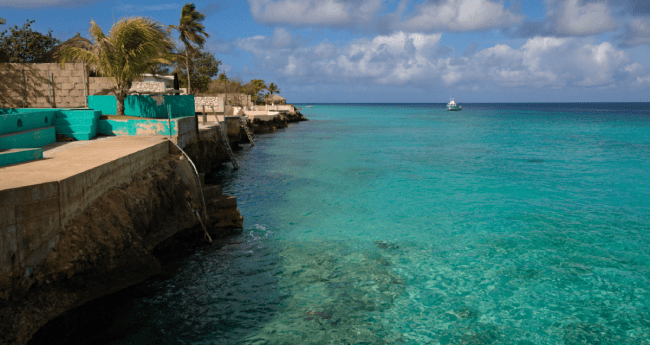 Bonaire Vaccination Requirements | Do I need a vaccine to travel to Bonaire? cover image