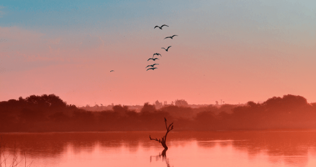 Botswana Visa Requirements For South African Citizens cover image
