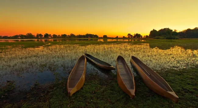 Botswana eVisa for Pakistani citizens: Complete application guide for 2023 cover image