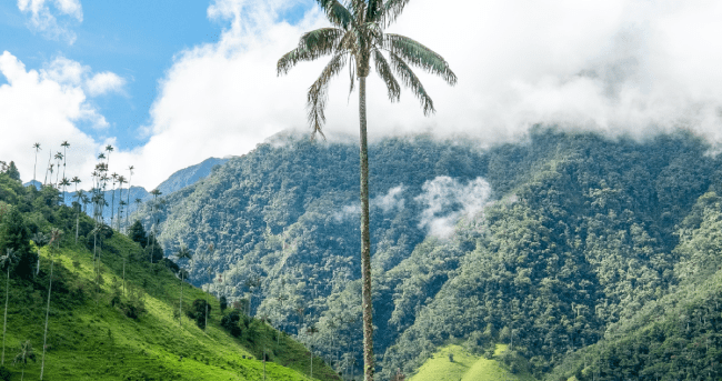Requisitos para brasileiros que viajam à Colômbia cover image