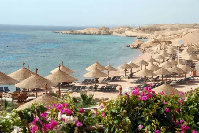 Getting an Egypt Visa for French citizens cover image