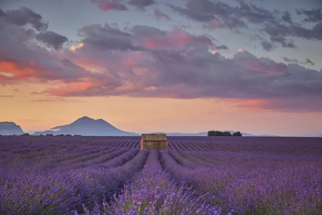 France Schengen Visa for Indian citizens cover image