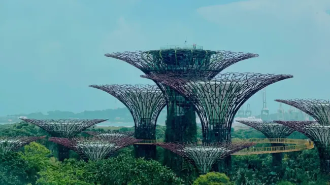 Traveling to Singapore: Useful Tips or Your Journey | iVisa cover image