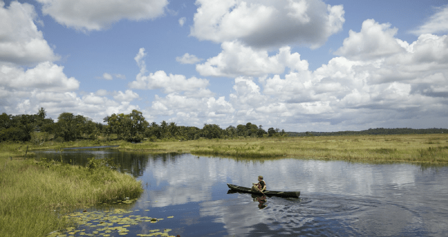 Guyana visa policy cover image