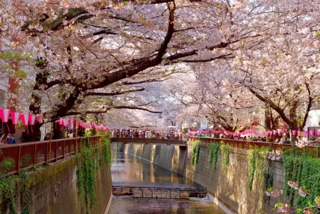 ¿Se necesita visa para Japón siendo mexicano? cover image