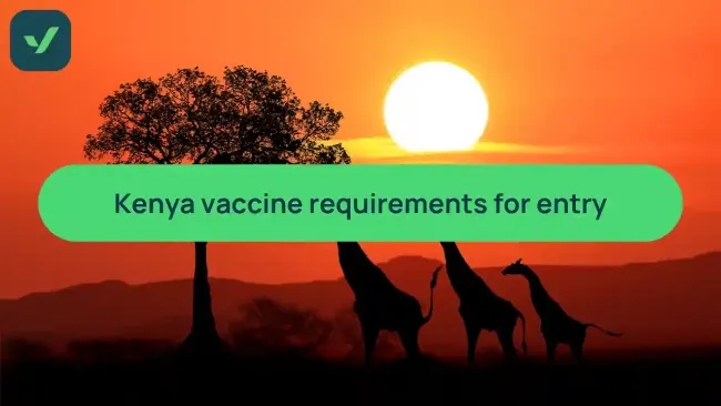 Kenya vaccination requirements: A complete guide cover image