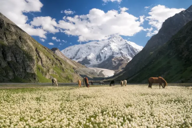 How to get a Kyrgyzstan Visa for Pakistani nationals cover image
