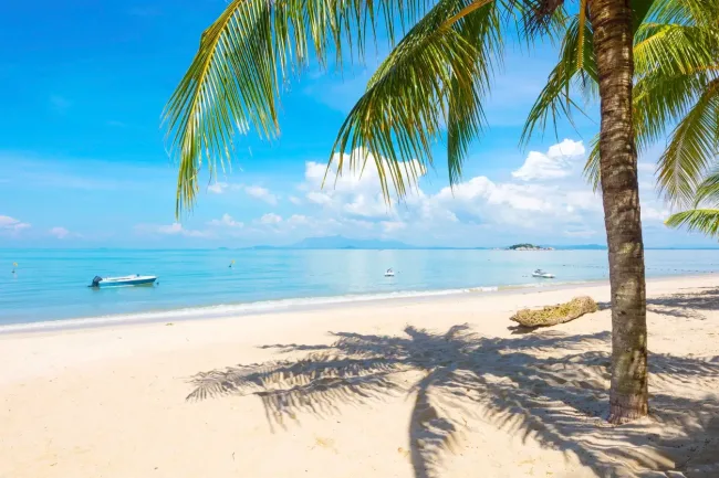 Descubre las Mejores Playas Paradisiacas de Malasia cover image