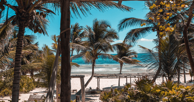 Do Jamaican Citizens need a visa for Mexico? - How to go and Visa Requirements cover image