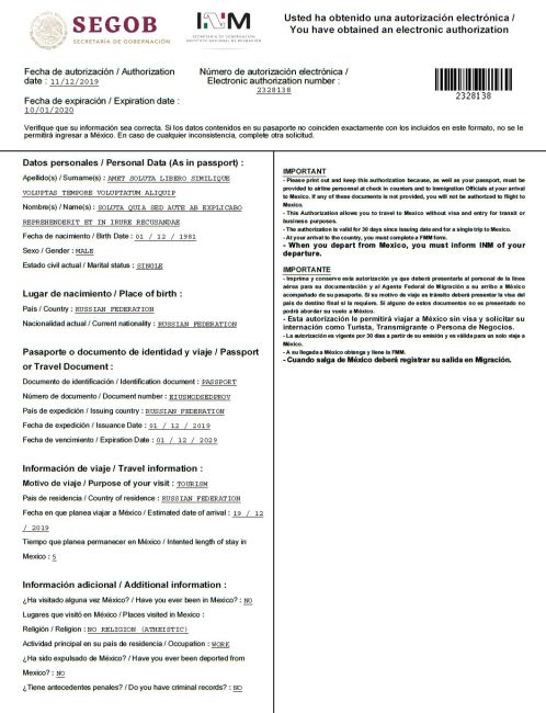 Mexico Elektronische Online Autorisierung Sae Fur Burger Aus Russland Der Ukraine Und Der Turkei Mexico E Visum Tourist Ivisa