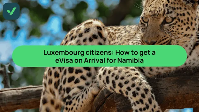 Luxembourg citizens: How to get a visa for Namibia in 2025 cover image