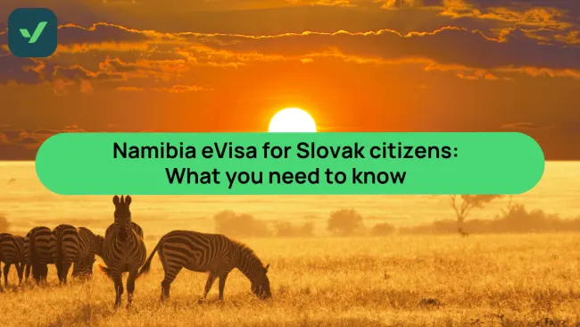 Namibia eVisa rules for Slovak citizens: What you need to know cover image