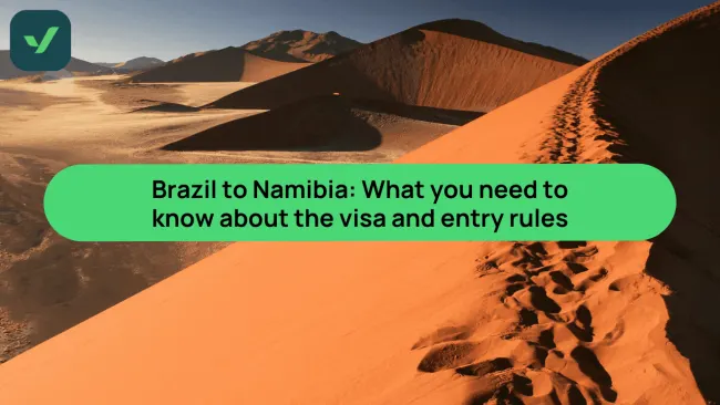 Namibia visa policy for Brazilians: Expert insights cover image