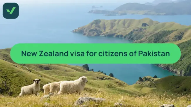New Zealand Visitor Visa for Pakistani citizens: How to apply cover image