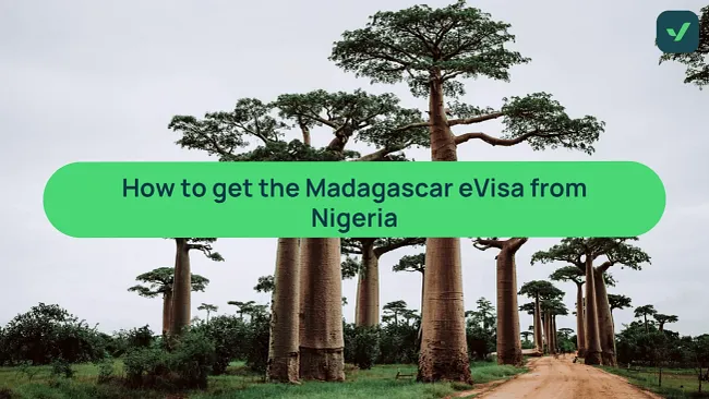 Best way to get the Madagascar eVisa for Nigerians cover image
