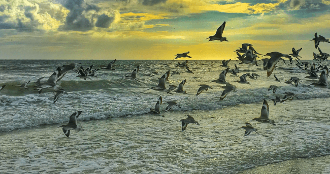 North Korea visa policy cover image