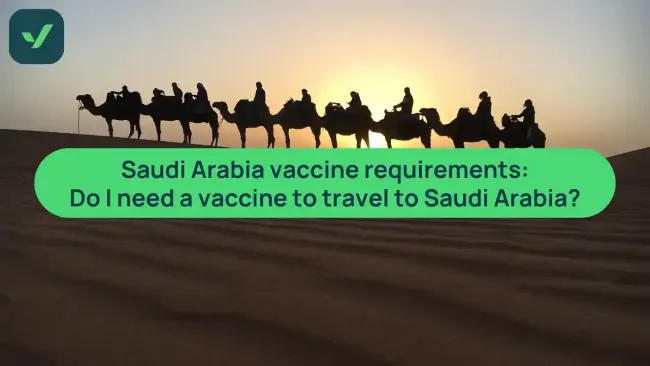Do I need a vaccine to travel to Saudi Arabia? | iVisa cover image