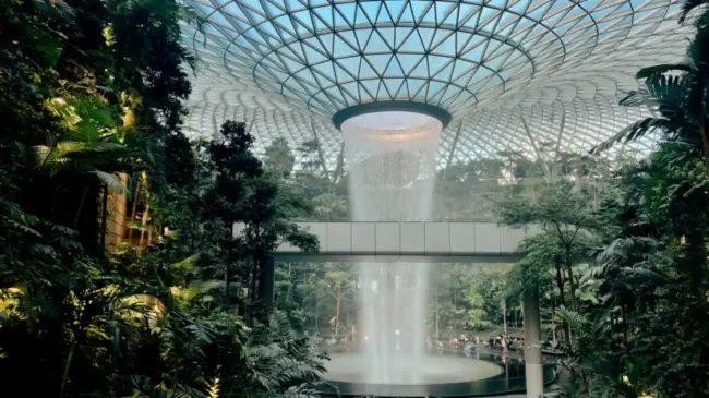 Departing from Singapore Changi International Airport: A complete guide cover image
