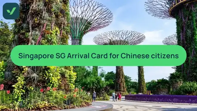 How to get a Singapore SG Arrival card as a Chinese citizen cover image