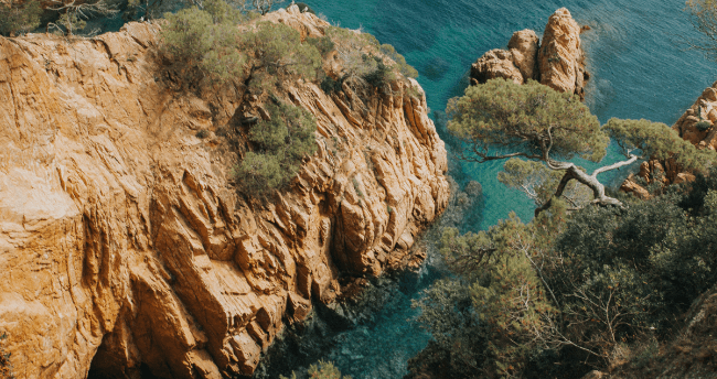 Tomatina Ticket Price: How Much Money Do I Really Need? cover image