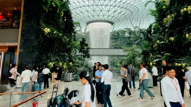 8 unusual things to do at the Jewel Changi Airport cover image