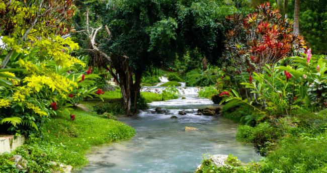 Best Time to Travel to Vanuatu